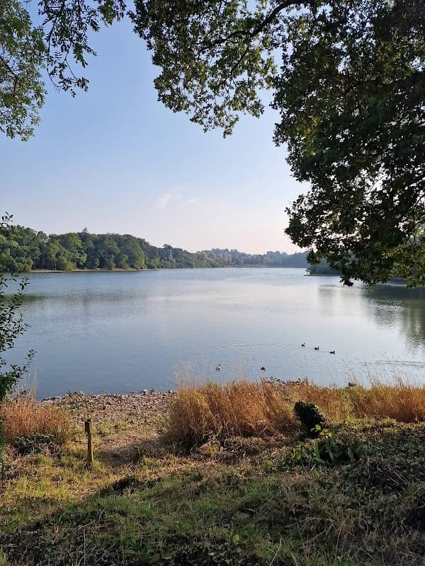 Chard Reservoir Local Nature Reserve - Image 2