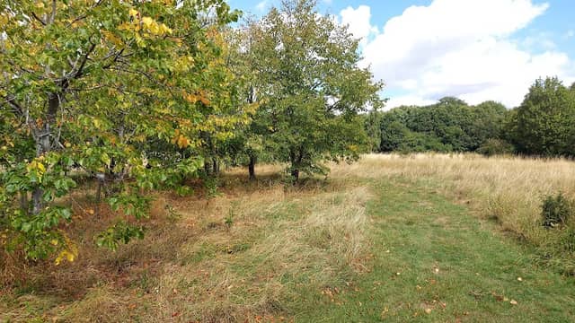 Spencers Park - Image 1