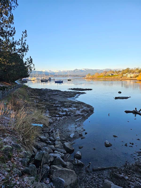 Comox Marina Bench - Image 2