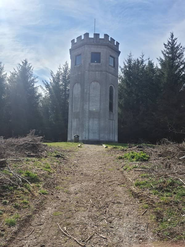 Drinnie's Wood Observatory - Image 2
