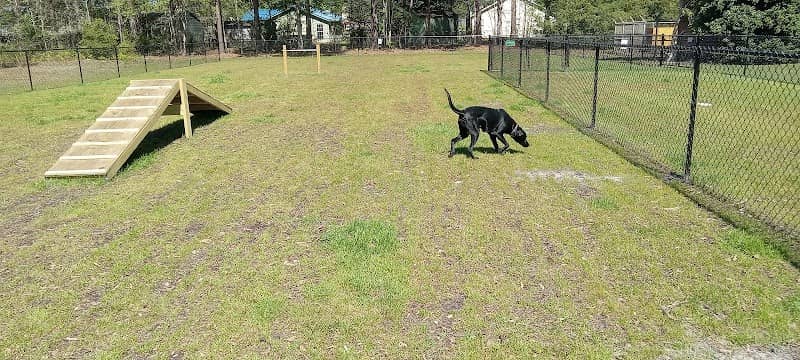 Newport Dog Park - Image 3