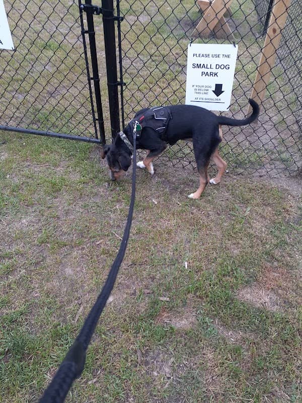 Newport Dog Park - Image 1