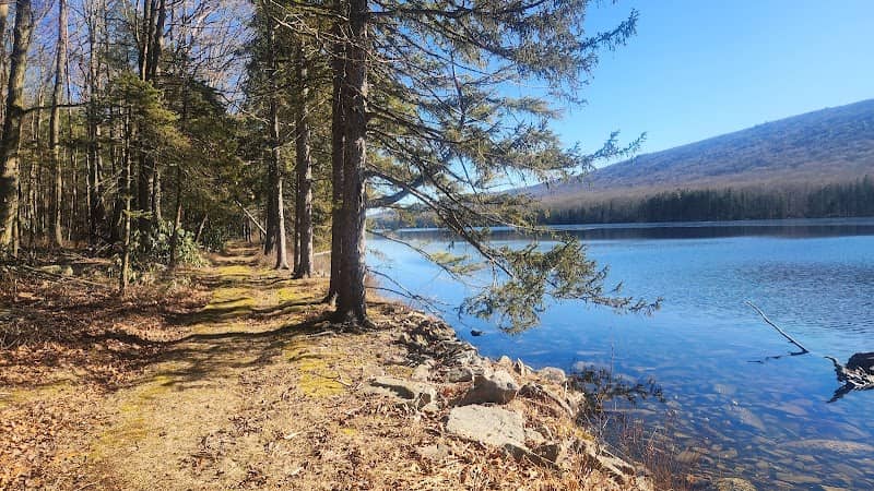 Weiser State Forest - Image 1