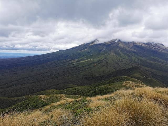 Pouakai Circuit - Henry Peak Lookout - Image 2
