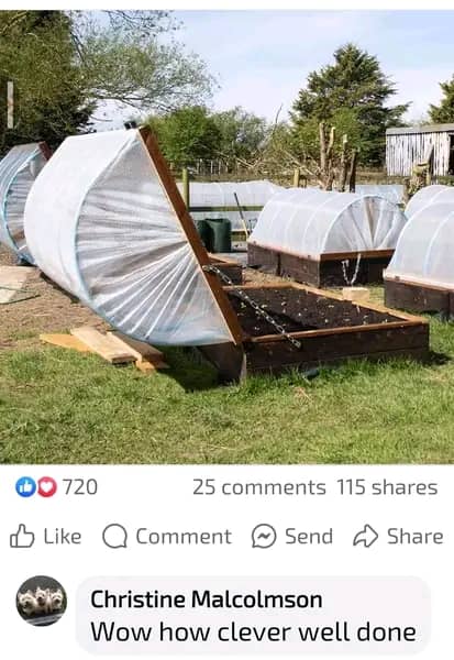 Youth Farm Community Gardens - Image 1