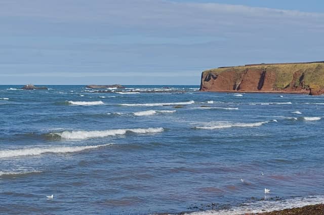 Glebe Viewpoint - Image 2