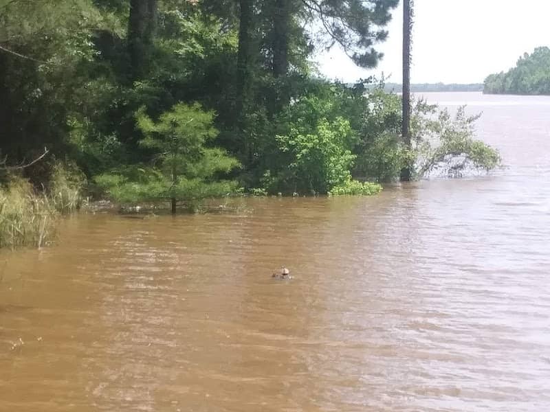 Montgomery Recreation Area - Image 1
