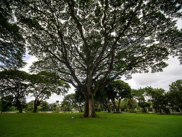 Laongkwamsuk ละอองความสุข - Image 2