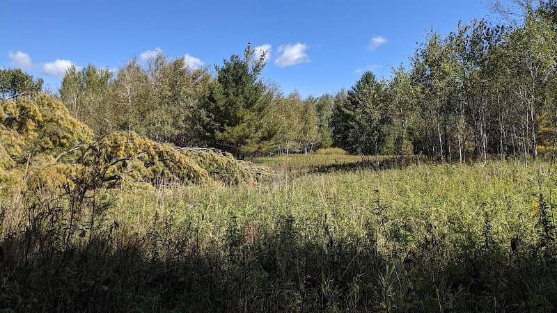Cylon State Wildlife Area - Image 2