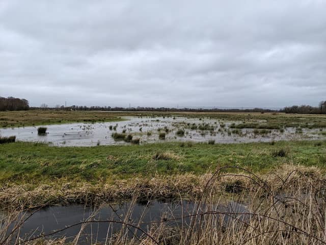 Catcott Complex Nature Reserve - Image 1