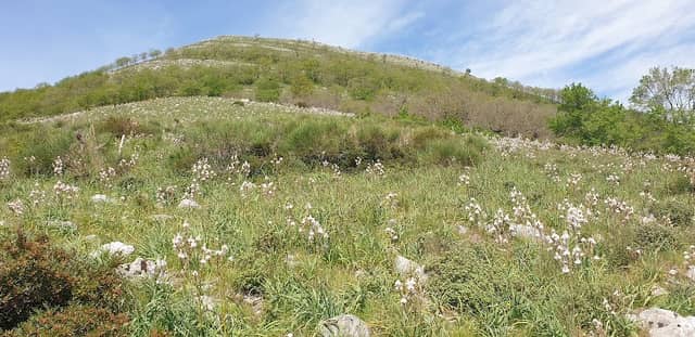 Croce di Pezzano - Image 1
