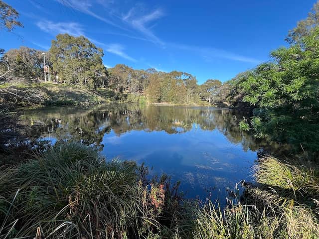 Science Centre Lake - Image 2