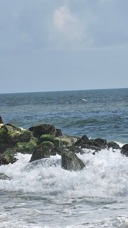 T S K viewpoint - Image 1