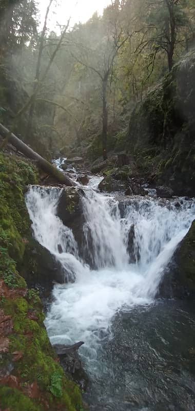 Columbia River Gorge - Image 3