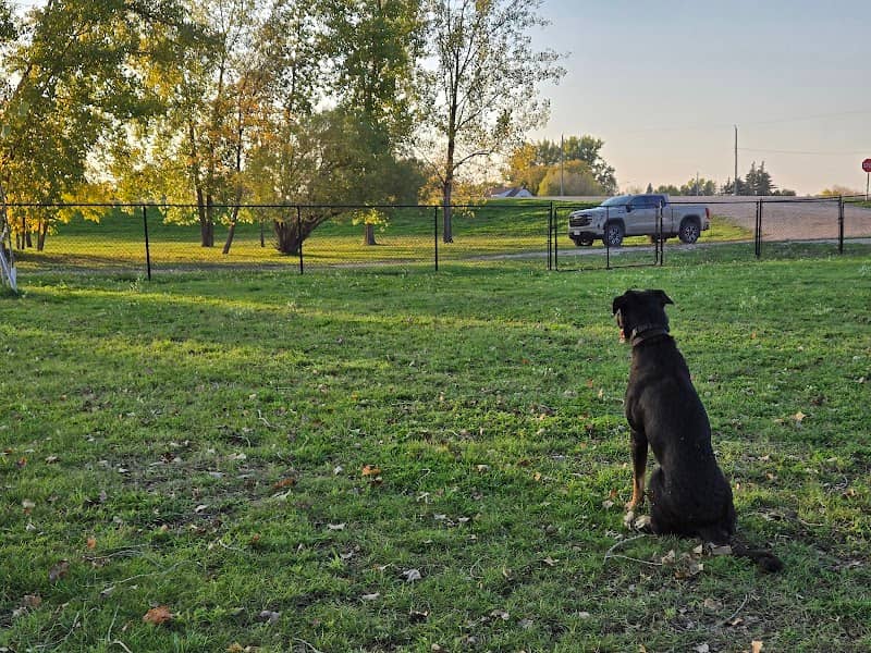 Morris Dog Park - Image 1