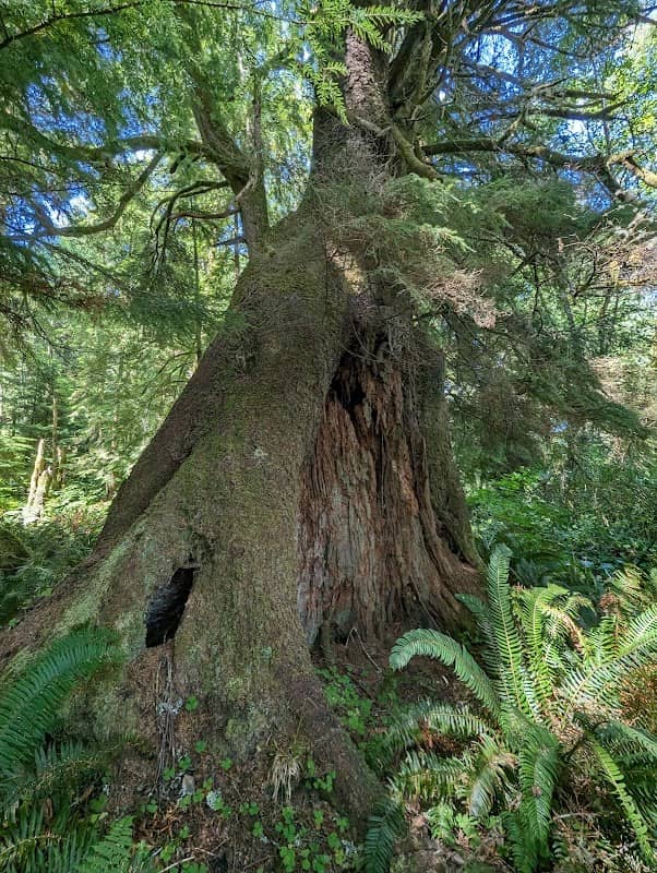 Circle Creek Conservation Center - Image 2
