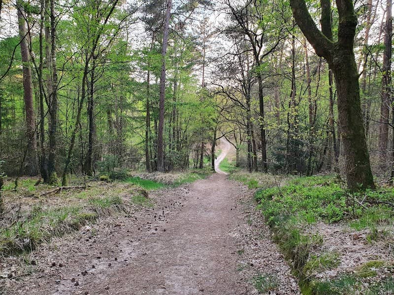 Klein Beekermark (Bergherbos) - Image 2