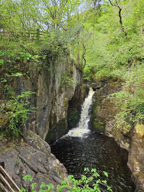 Thornton Force Waterfall - Image 3