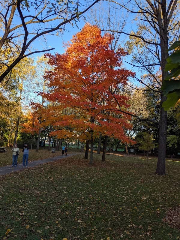 Renfrew Museum and Park - Image 2