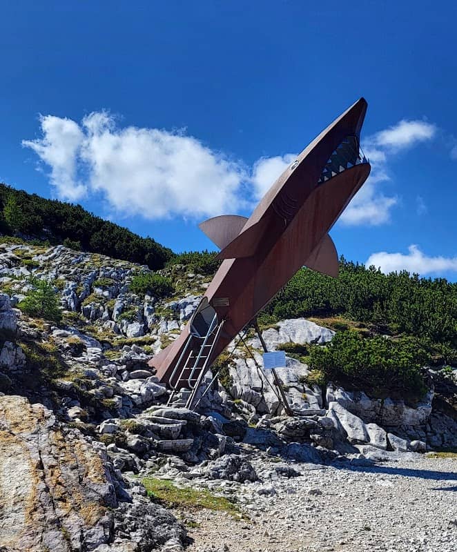 Dachstein Shark - Image 3