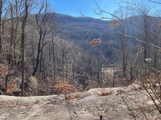 Norman Wilder Forest - Image 1