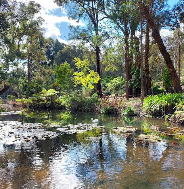 Historic Jarrahdale - Image 1