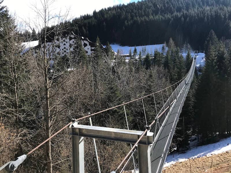 Pont suspendu de Torgon - Image 1