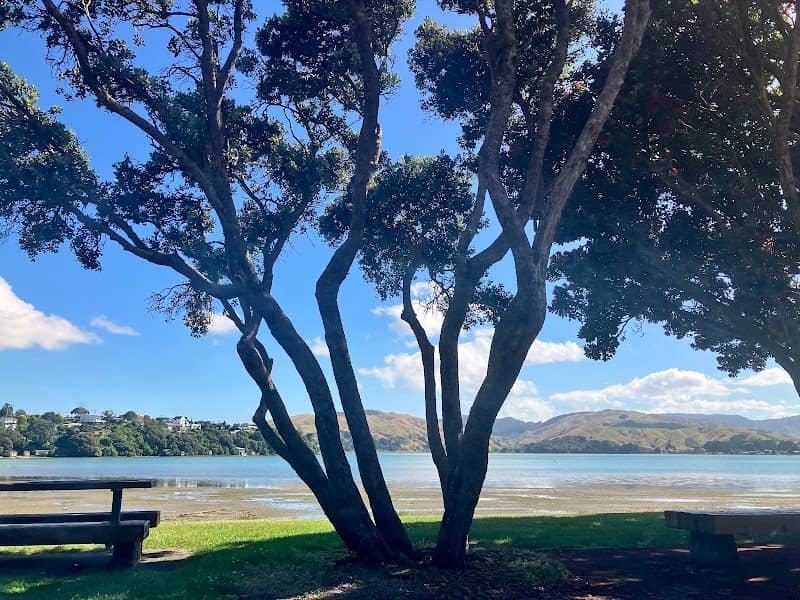 Browns Bay Reserve - Image 1
