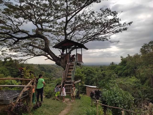 Kapehan sa Lasang - Image 1