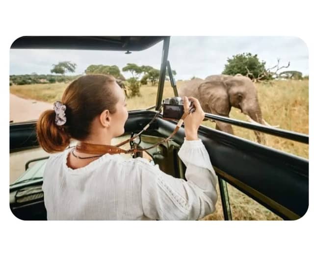 wildluxurysafaris - Image 1