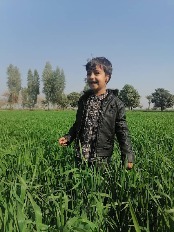 Fatima Jinnah Park فاطمہ جناح پارک - Image 1
