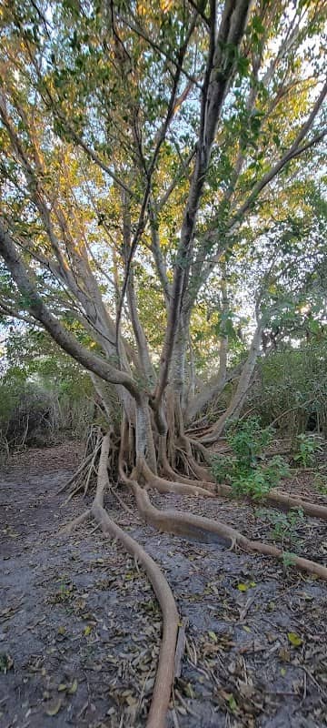 Samsons Island Nature Park - Image 2