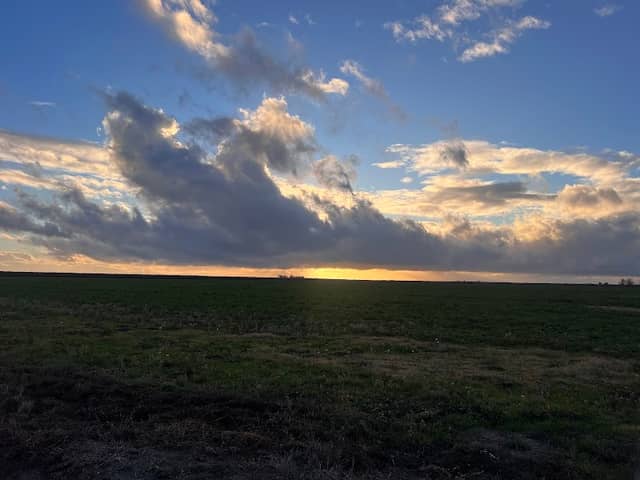 Ord Bend Unit of Sacramento River National Wildlife Refuge - Image 1