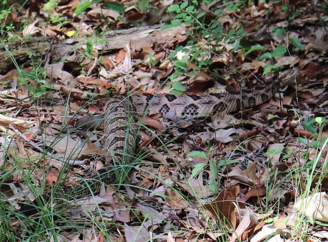 Beaverdam Wildlife Management Area - Image 2