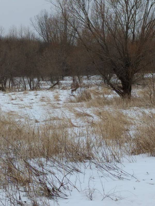 WTF Wetland Conservation Area - Image 2