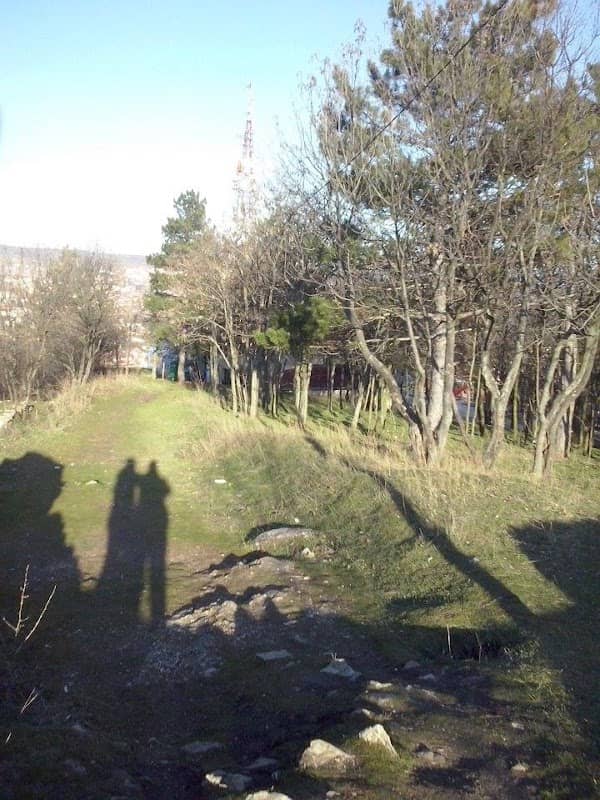 Park Alekse Šemića - Image 1
