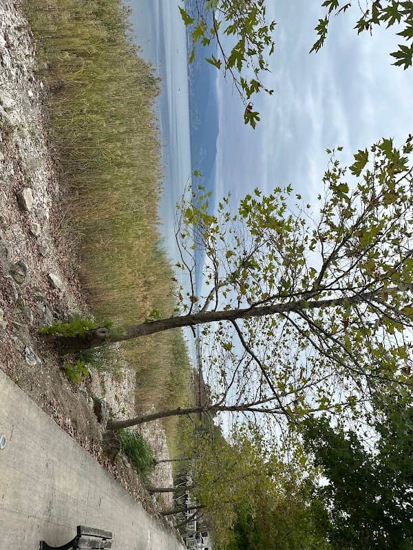 Milli Park - Image 1