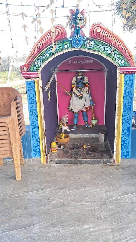 Pappa veli palayakkottai Lake - Image 1
