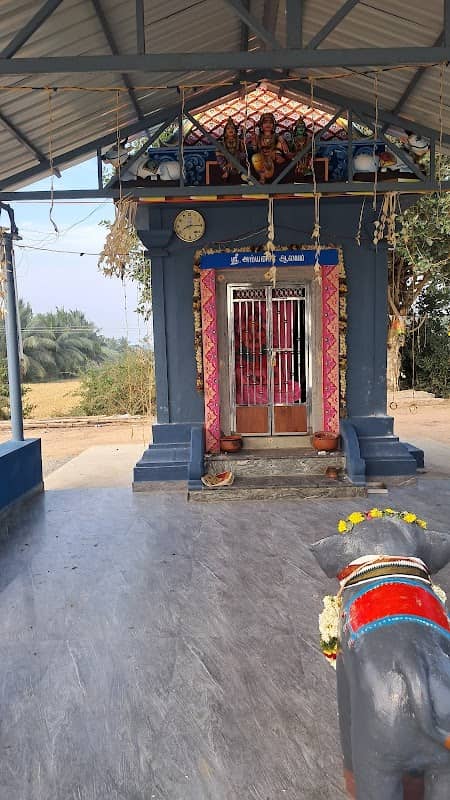 Pappa veli palayakkottai Lake - Image 2