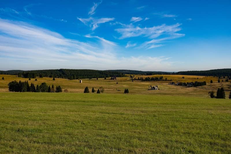 Přebuzské vřesoviště - Image 1
