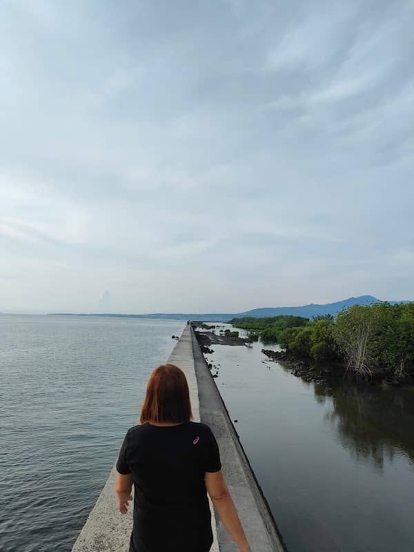 Lawton Seawall - Image 1