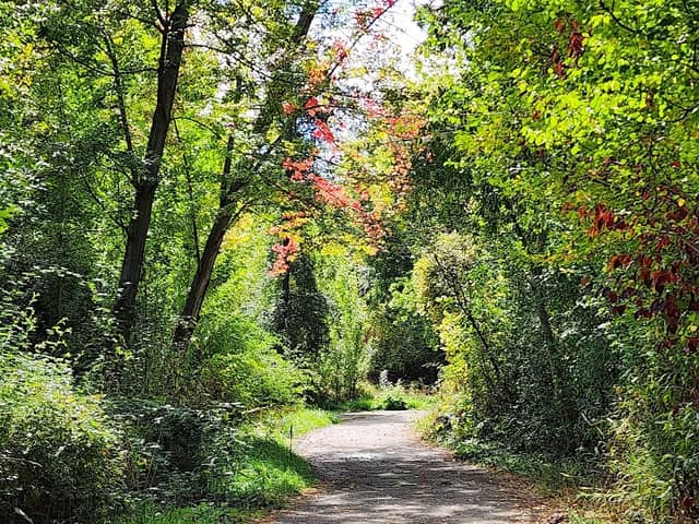 Lagoon Trail - Image 1