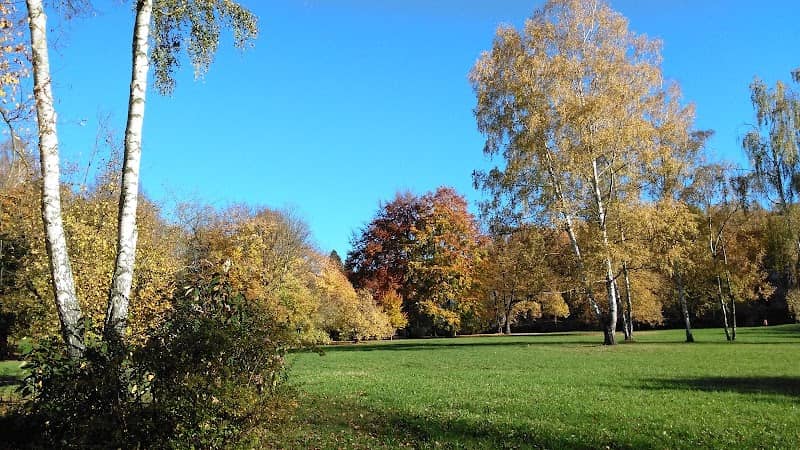 Stadt Park - Image 2