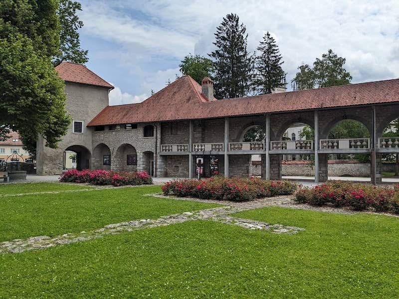 Ribnica Castle - Image 1
