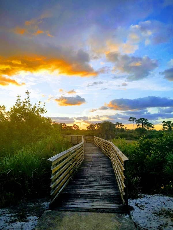 Jupiter Ridge Natural Area - Image 2