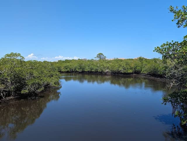 Jupiter Ridge Natural Area - Image 3