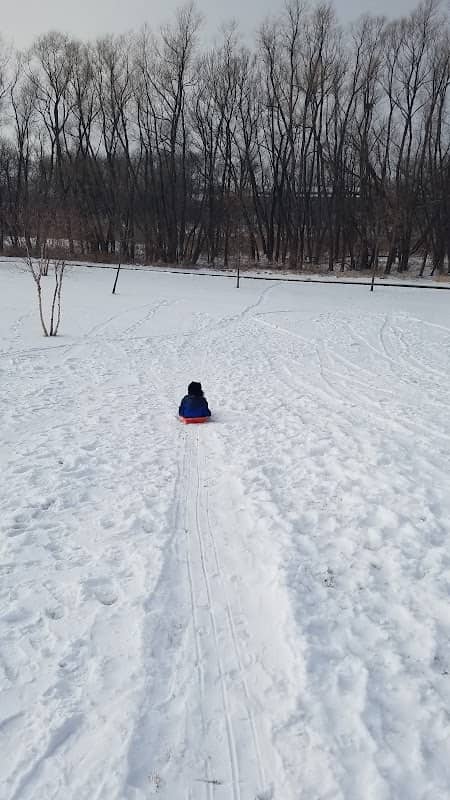 Wings Over White Oaks Park - Image 1