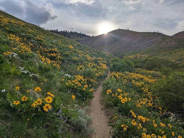 Day Drive Trailhead (Sage Hills Gateway) - Image 2
