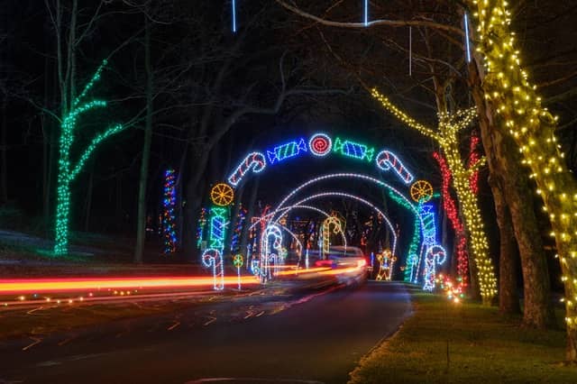 Lights in the Parkway - Image 2