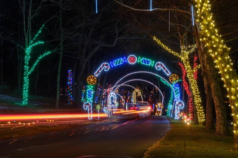 Lights in the Parkway - Image 2